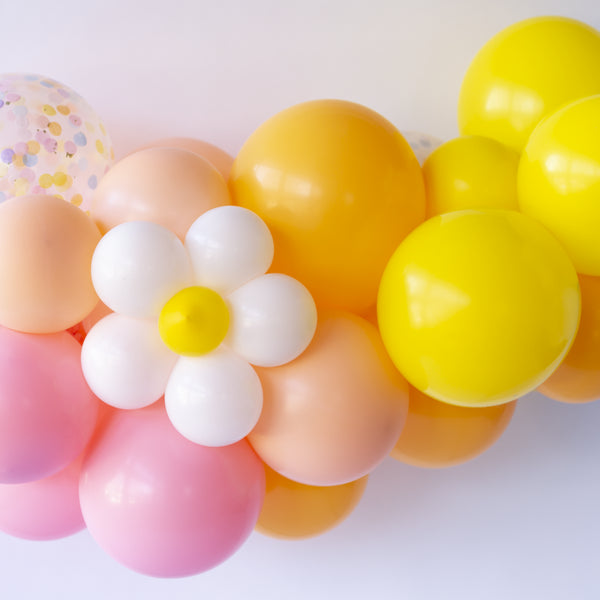 Daisy Balloon Animal Kit