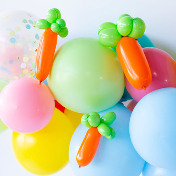 Carrot Balloon Animal Kit