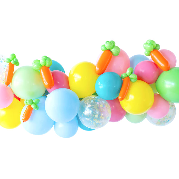 Carrot Balloon Animal Kit